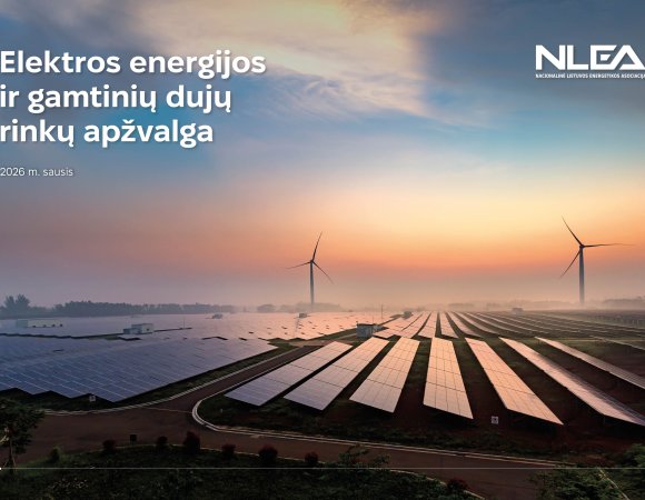 Elektros energijos ir gamtinių dujų rinkų apžvalga, 2026 m. vasaris